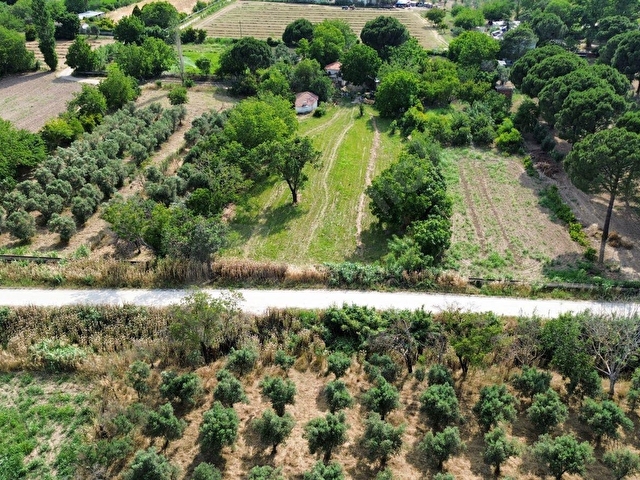 ATATÜRK MAHALLESİ MÜFTÜ SOKAKTA SATILIK 2917 M² BAĞ - Görsel 10