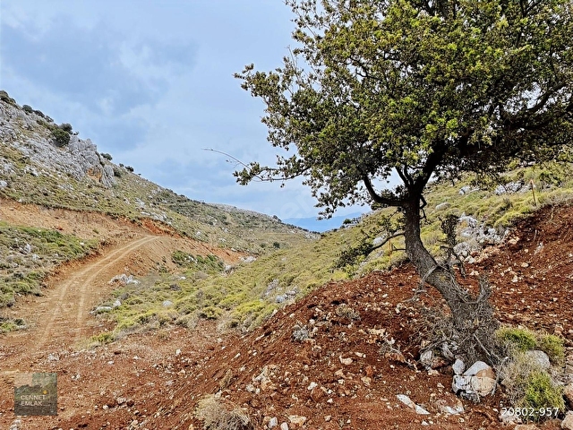 Bozburun Ayağacı Mevkiinde 813 m² Deniz Manzaralı Arsa - Görsel 8