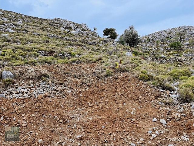 Bozburun Ayağacı Mevkiinde 813 m² Deniz Manzaralı Arsa - Görsel 16