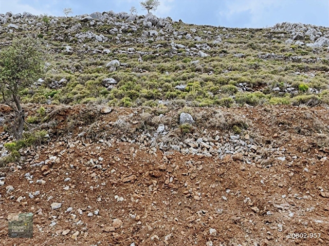 Bozburun Ayağacı Mevkiinde 813 m² Deniz Manzaralı Arsa - Görsel 12