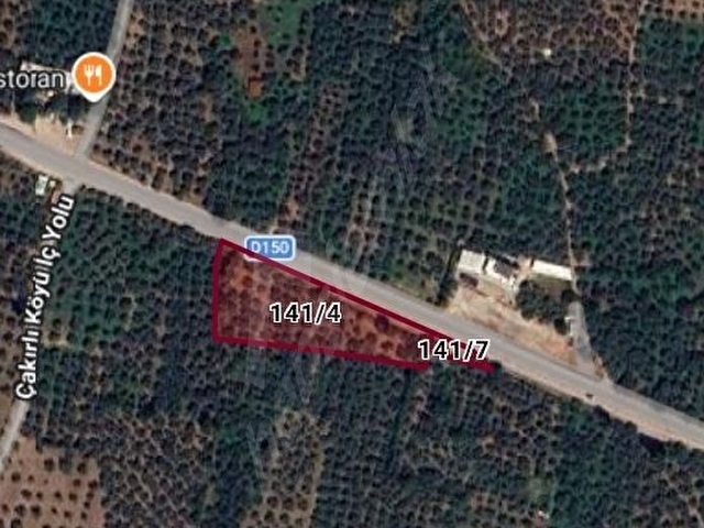 KERİM EMLAKTAN İZNİK ORHANGAZİ YOLUNA ÇEPHELİ ZEYTİNLİK 3.719 M2 - Görsel 9