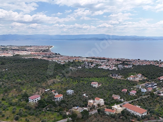 Balıkesir Edremit Altınoluk Avcılarda 6700M2 Satılık Zeytinlik - Görsel 2