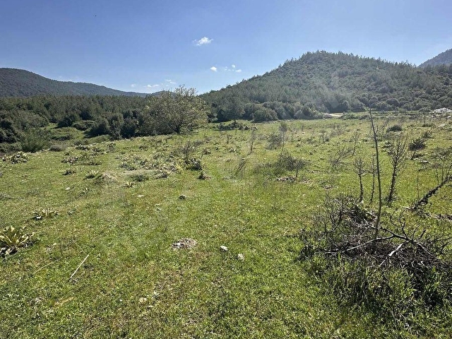 AKBAŞLARDAN MILAS KORUCUKTA YERLEŞIME YAKIN FIRSAT ARAZI - Görsel 12