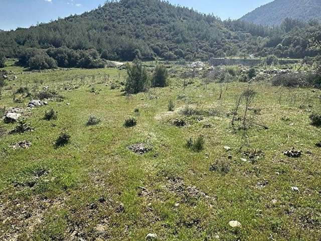 AKBAŞLARDAN MILAS KORUCUKTA YERLEŞIME YAKIN FIRSAT ARAZI - Görsel 17
