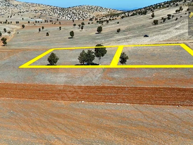KORKUTELİ SIMANDIR KÖYÜ SATILIK 2 ADET TARLA - Görsel 15