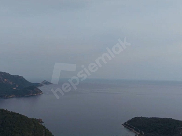 Doğanın İçinde, Deniz Gören, Elektrik ve Suyu Hazır Fırsat Arazi - Görsel 9