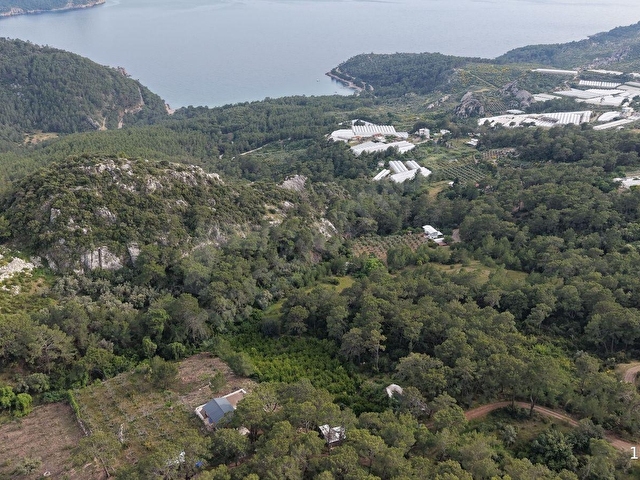 Doğanın İçinde, Deniz Gören, Elektrik ve Suyu Hazır Fırsat Arazi