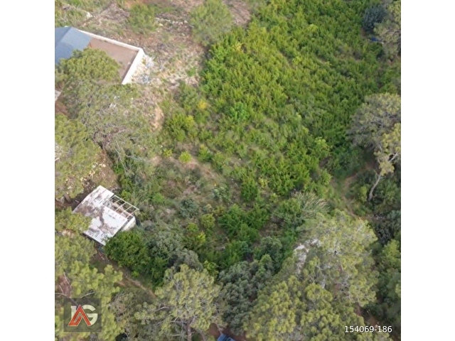 Doğanın İçinde, Deniz Gören, Elektrik ve Suyu Hazır Fırsat Arazi - Görsel 6