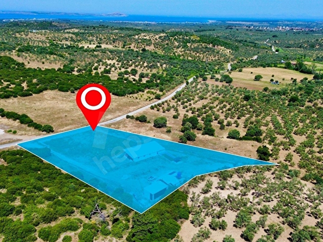 GEYİKLİ VE BOZCAADA HATTINDA HAZIR KURULU 6.342m2 ÇİFTLİK - Görsel 2