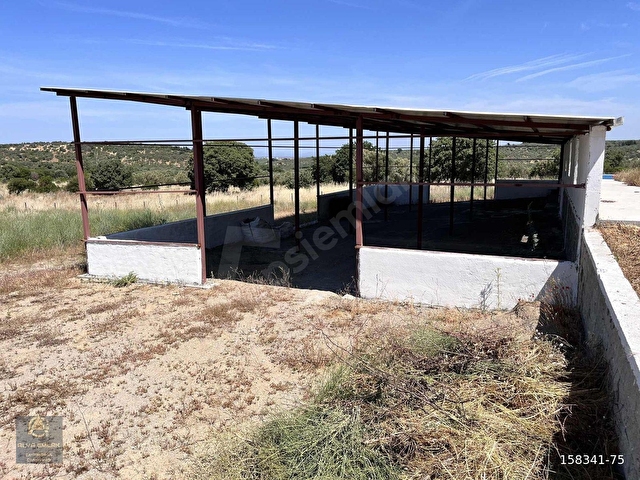 GEYİKLİ VE BOZCAADA HATTINDA HAZIR KURULU 6.342m2 ÇİFTLİK - Görsel 28