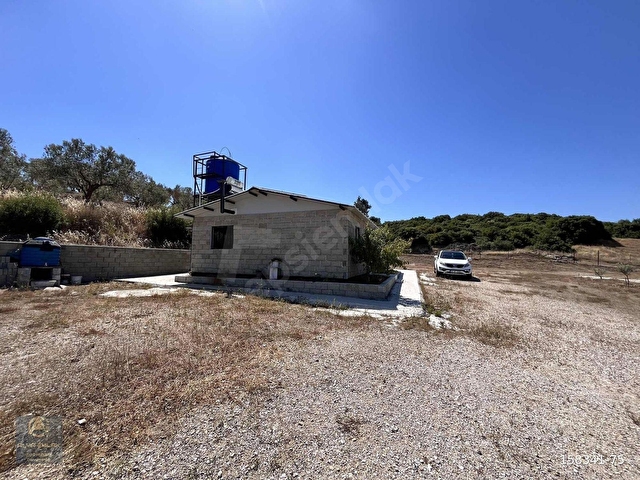 GEYİKLİ VE BOZCAADA HATTINDA HAZIR KURULU 6.342m2 ÇİFTLİK - Görsel 19