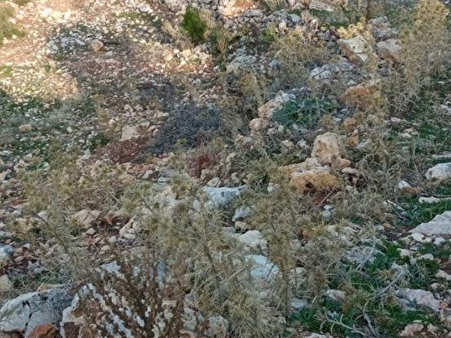 MENTEŞE DAĞPINARDA İMARLI ARSA - Görsel 4