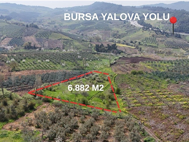 Değer Kazanma Potansiyeli Yüksek Satılık Tarla