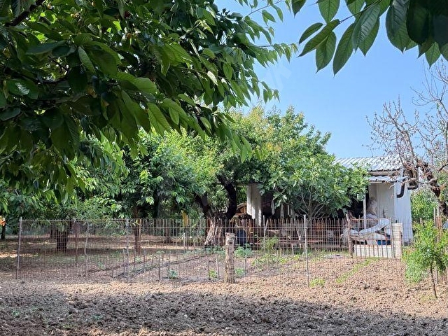 UNCU BOZKÖY MH ORMANIN İÇİNDE SAKLI ÇENNET BAHÇESİ - Görsel 13