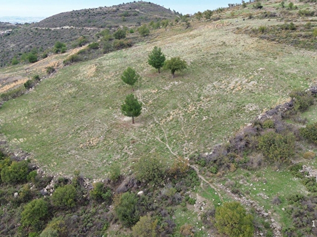 Çallı Köyünde Deniz Manzaralı 4.5 Dönüm Satılık Tarla