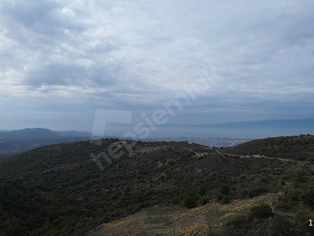 Çallı Köyünde Deniz Manzaralı 4.5 Dönüm Satılık Tarla - Görsel 2