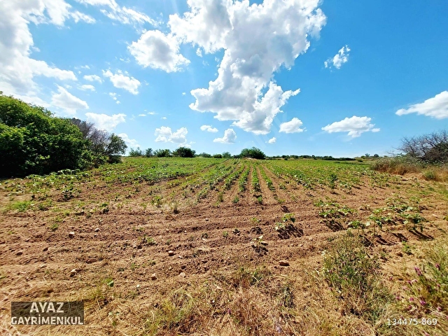 KIRKLARELİ MERKEZ KAYALI KÖYÜNDE GÖL MANZARALI 7151M2 TARLA - Görsel 23