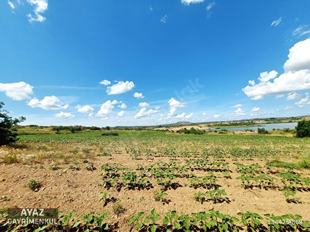 KIRKLARELİ MERKEZ KAYALI KÖYÜNDE GÖL MANZARALI 7151M2 TARLA - Görsel 15