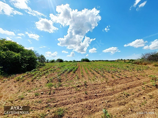 KIRKLARELİ MERKEZ KAYALI KÖYÜNDE GÖL MANZARALI 7151M2 TARLA - Görsel 21