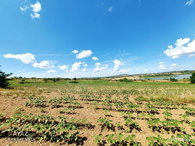 KIRKLARELİ MERKEZ KAYALI KÖYÜNDE GÖL MANZARALI 7151M2 TARLA - Görsel 18