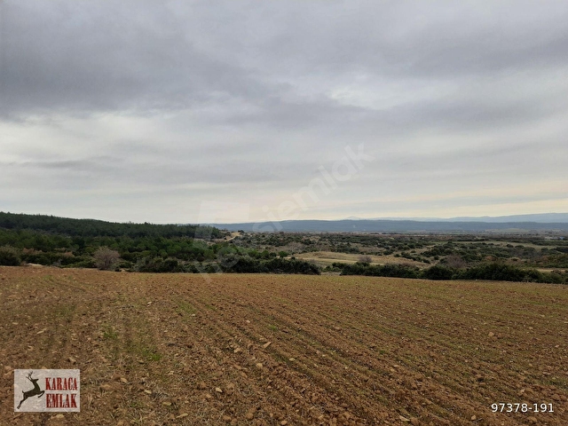 ÇANAKKALE GELİBOLU BAYRAMİÇTE 2500 M2 ARAZİ - Görsel 3