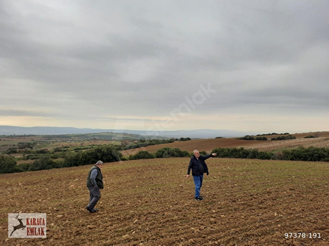 ÇANAKKALE GELİBOLU BAYRAMİÇTE 2500 M2 ARAZİ - Görsel 6