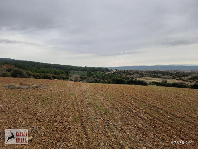 ÇANAKKALE GELİBOLU BAYRAMİÇTE 2500 M2 ARAZİ - Görsel 8