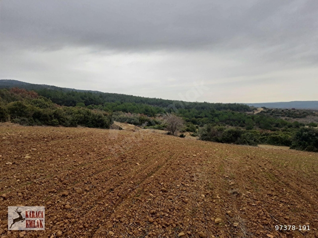 ÇANAKKALE GELİBOLU BAYRAMİÇTE 2500 M2 ARAZİ - Görsel 10
