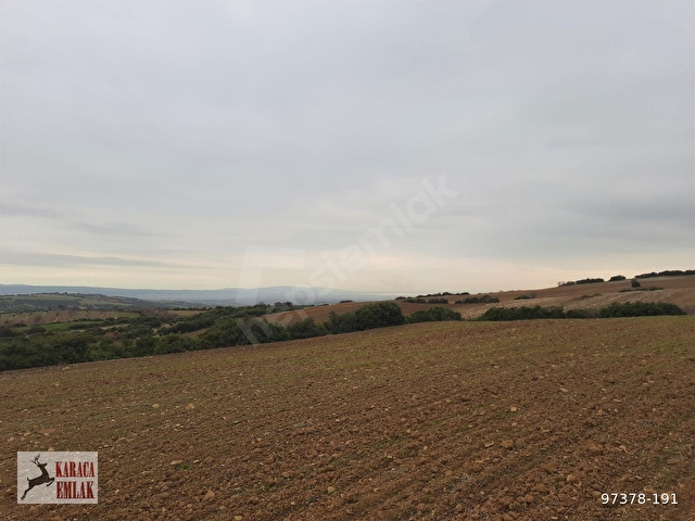 ÇANAKKALE GELİBOLU BAYRAMİÇTE 2500 M2 ARAZİ - Görsel 11