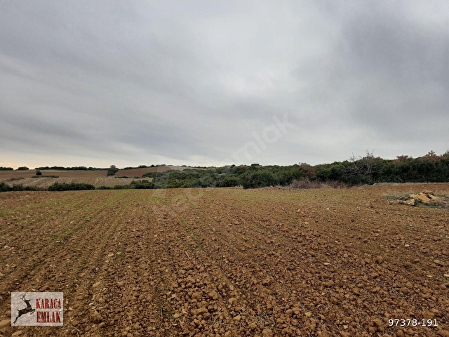 ÇANAKKALE GELİBOLU BAYRAMİÇTE 2500 M2 ARAZİ - Görsel 12