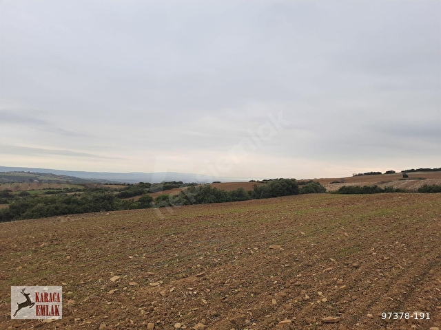 ÇANAKKALE GELİBOLU BAYRAMİÇTE 2500 M2 ARAZİ - Görsel 21