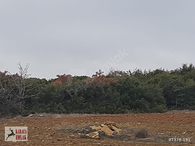 ÇANAKKALE GELİBOLU BAYRAMİÇTE 2500 M2 ARAZİ - Görsel 22