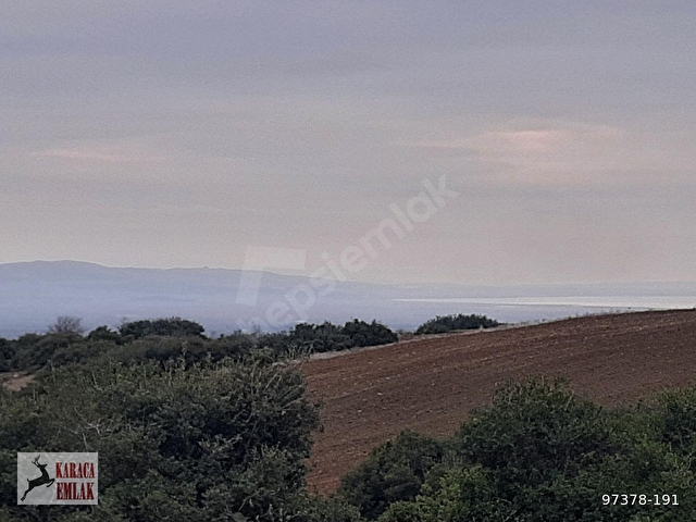 ÇANAKKALE GELİBOLU BAYRAMİÇTE 2500 M2 ARAZİ - Görsel 23