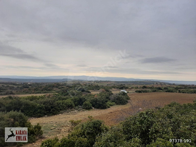 ÇANAKKALE GELİBOLU BAYRAMİÇTE 2500 M2 ARAZİ - Görsel 26