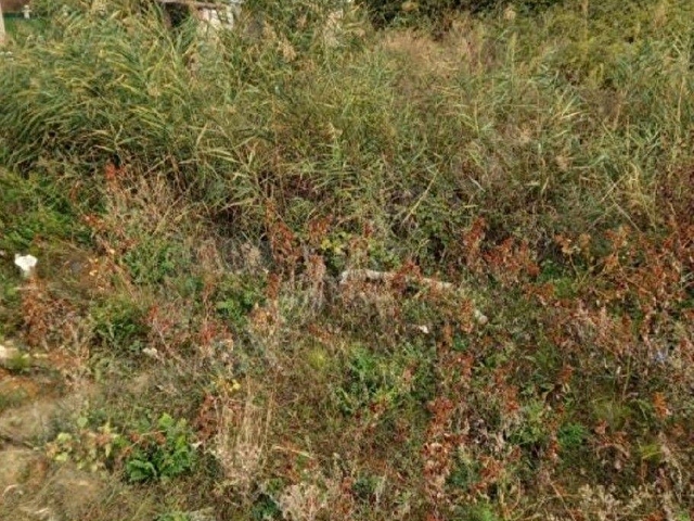 Merkezi Konumda, Yerleşim İçinde Satılık Arsa – Atakum - Görsel 9