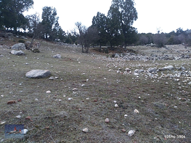 Antalya Kumluca Da Satilik Arsa Su Basmani Hazirdir 10596 3506 Hurriyet Emlak