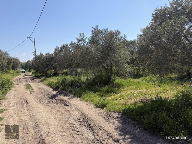 MUSTAFA BAŞYİĞİT EMLAKTAN MEDAR MAHALLESİN DE 13750 M2 TEK TAPU - Görsel 13