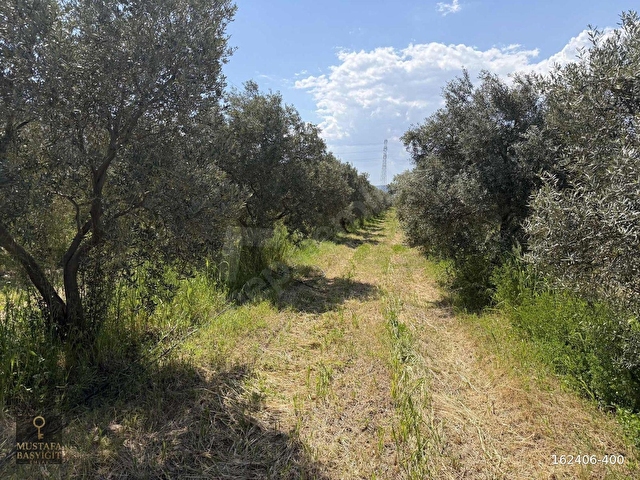 MUSTAFA BAŞYİĞİT EMLAKTAN MEDAR MAHALLESİN DE 13750 M2 TEK TAPU - Görsel 6