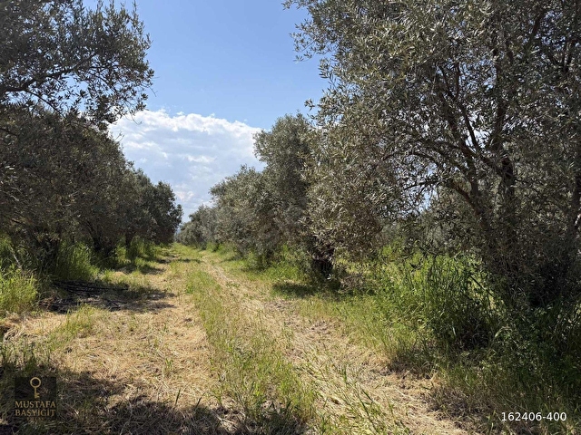 MUSTAFA BAŞYİĞİT EMLAKTAN MEDAR MAHALLESİN DE 13750 M2 TEK TAPU - Görsel 8
