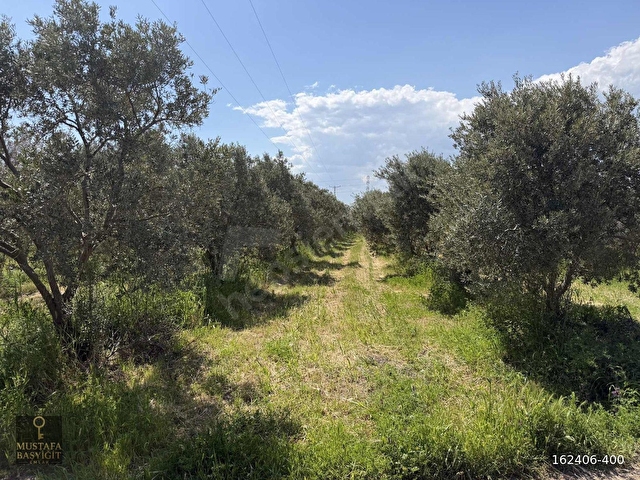 MUSTAFA BAŞYİĞİT EMLAKTAN MEDAR MAHALLESİN DE 13750 M2 TEK TAPU - Görsel 15