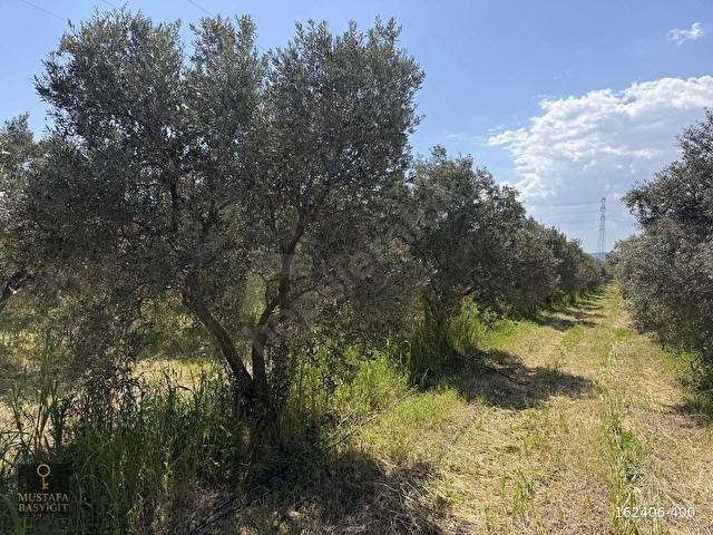 MUSTAFA BAŞYİĞİT EMLAKTAN MEDAR MAHALLESİN DE 13750 M2 TEK TAPU - Görsel 5
