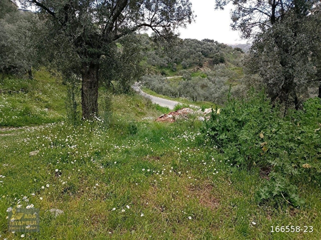 Aydın Efeler Eğrikavakta Tamamlanmaya Hazır Ev ve Arsa 125 m2
