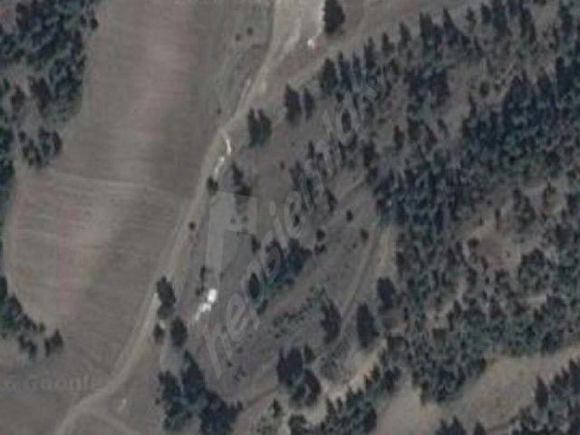 satılık  tarla