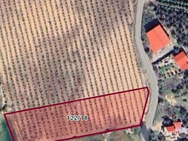 Ada emlaktan Dadalı mah. 4881 m2 Satlık Tarla - Görsel 2