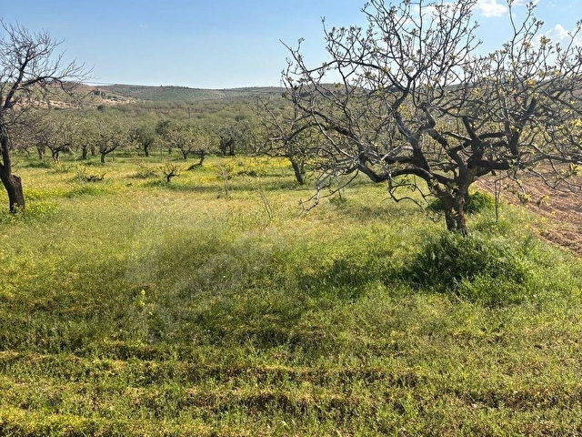 ARILDA FIRSAT ARAZİ - Görsel 7