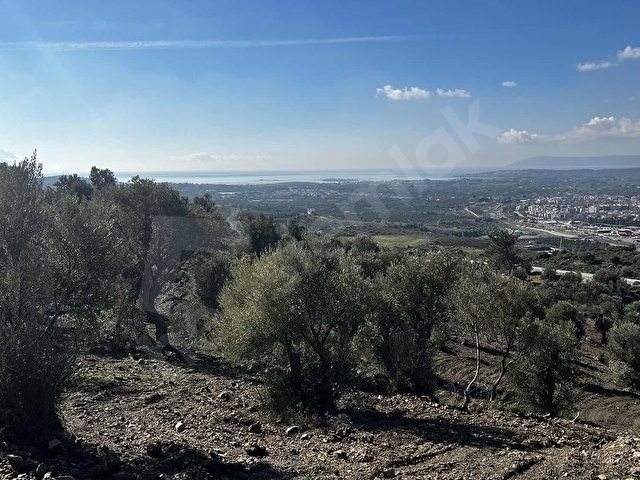 Proje sahibinden!!Seferihisar merkez 220 m2 bahçe araç takaslı - Görsel 2