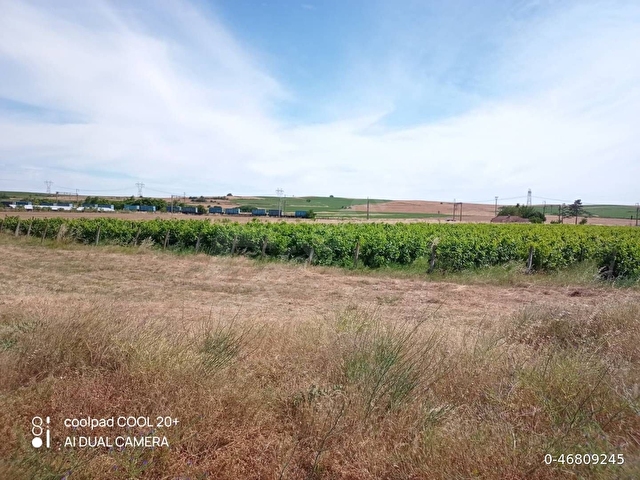 KAYABEYLİ KÖYÜ SAHİBİNDEN SATILIK 18.400 m2 BAĞ-BAHÇE VE BAĞ EVİ(açıklamayı okuyun!) - Görsel 4