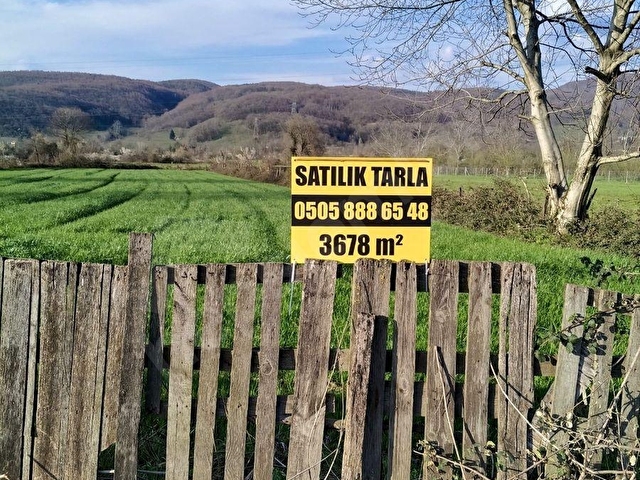 Düzce Kaynaşlı Merkez Mah de SATILIK TARLA - Görsel 3
