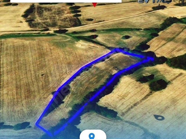 EVTAŞ - PINARHİSAR EVCİLER KÖYÜNDE 5.300 M2 MÜSTAKİL TAPU - Görsel 3