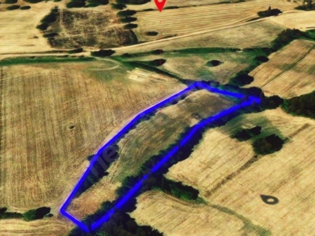 EVTAŞ - PINARHİSAR EVCİLER KÖYÜNDE 5.300 M2 MÜSTAKİL TAPU - Görsel 16